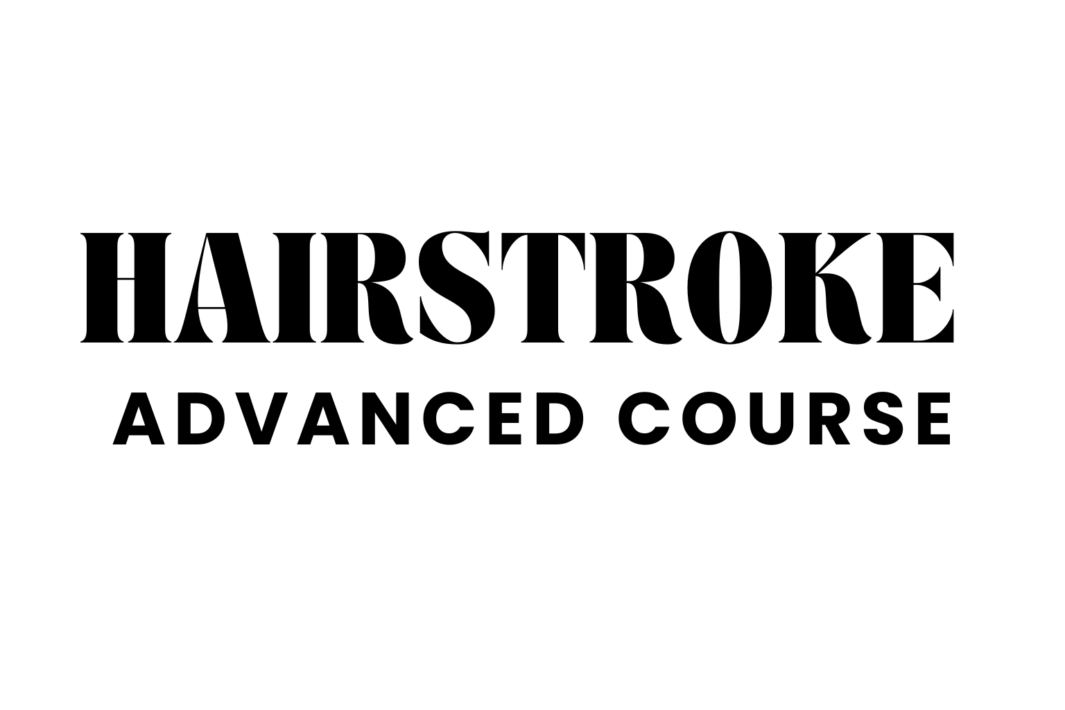 Hairstroke Advanced Course Group ( 2 – 4 students)